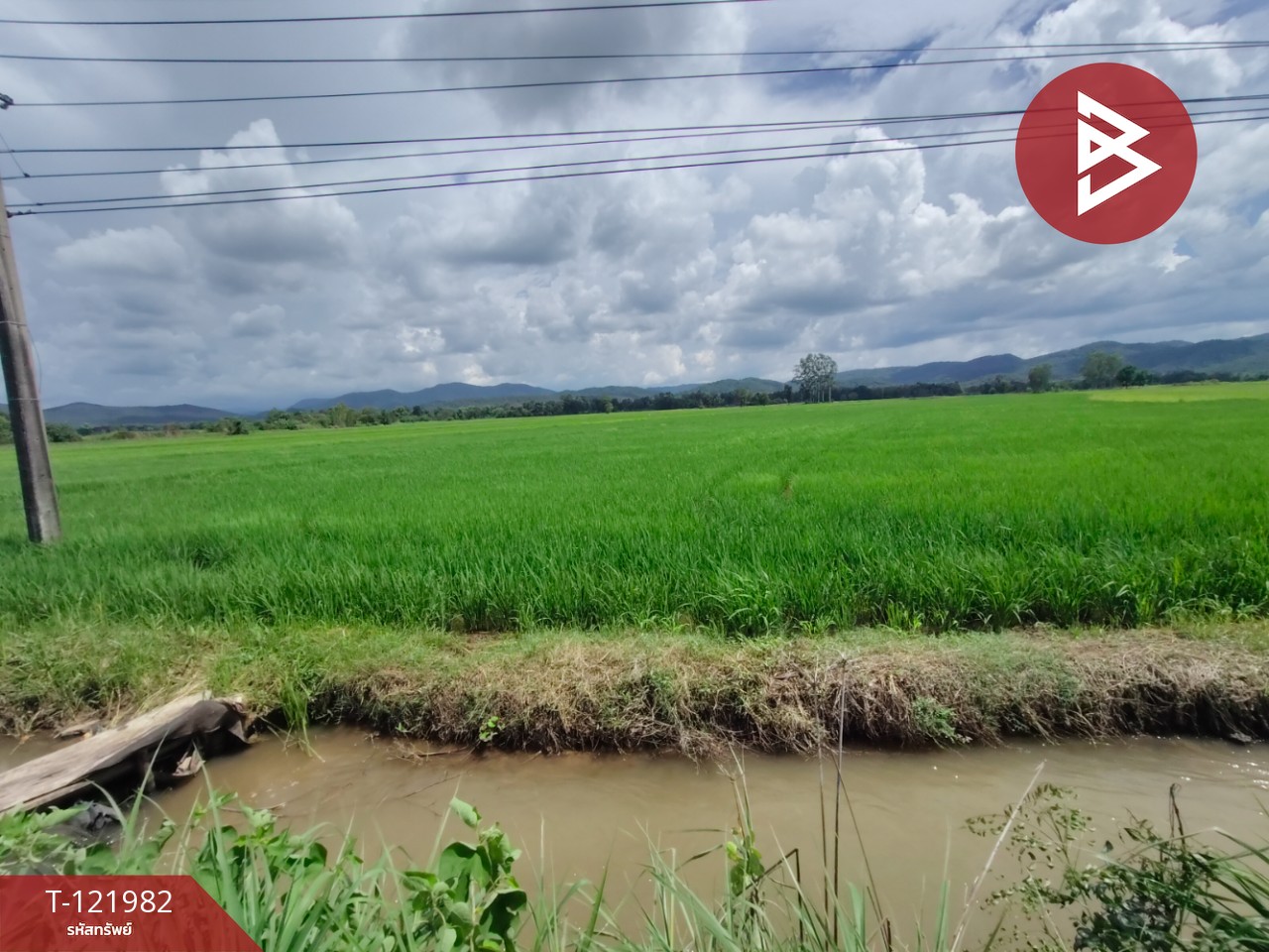 ขายที่ดิน เนื้อที่ 5 ไร่ 1 งาน 2 ตร.วา ทองแสนขัน อุตรดิตถ์ 9