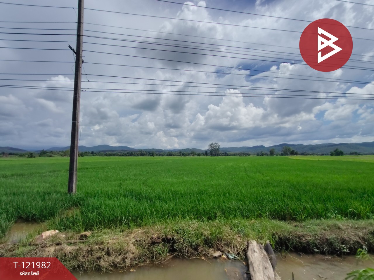 ขายที่ดิน เนื้อที่ 5 ไร่ 1 งาน 2 ตร.วา ทองแสนขัน อุตรดิตถ์ 4