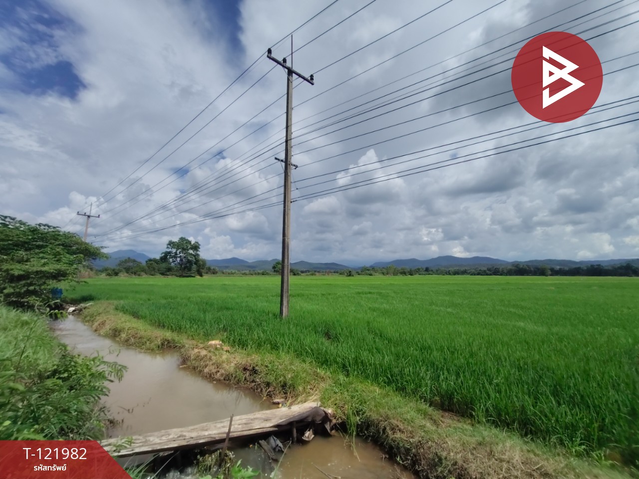 ขายที่ดิน เนื้อที่ 5 ไร่ 1 งาน 2 ตร.วา ทองแสนขัน อุตรดิตถ์ 2