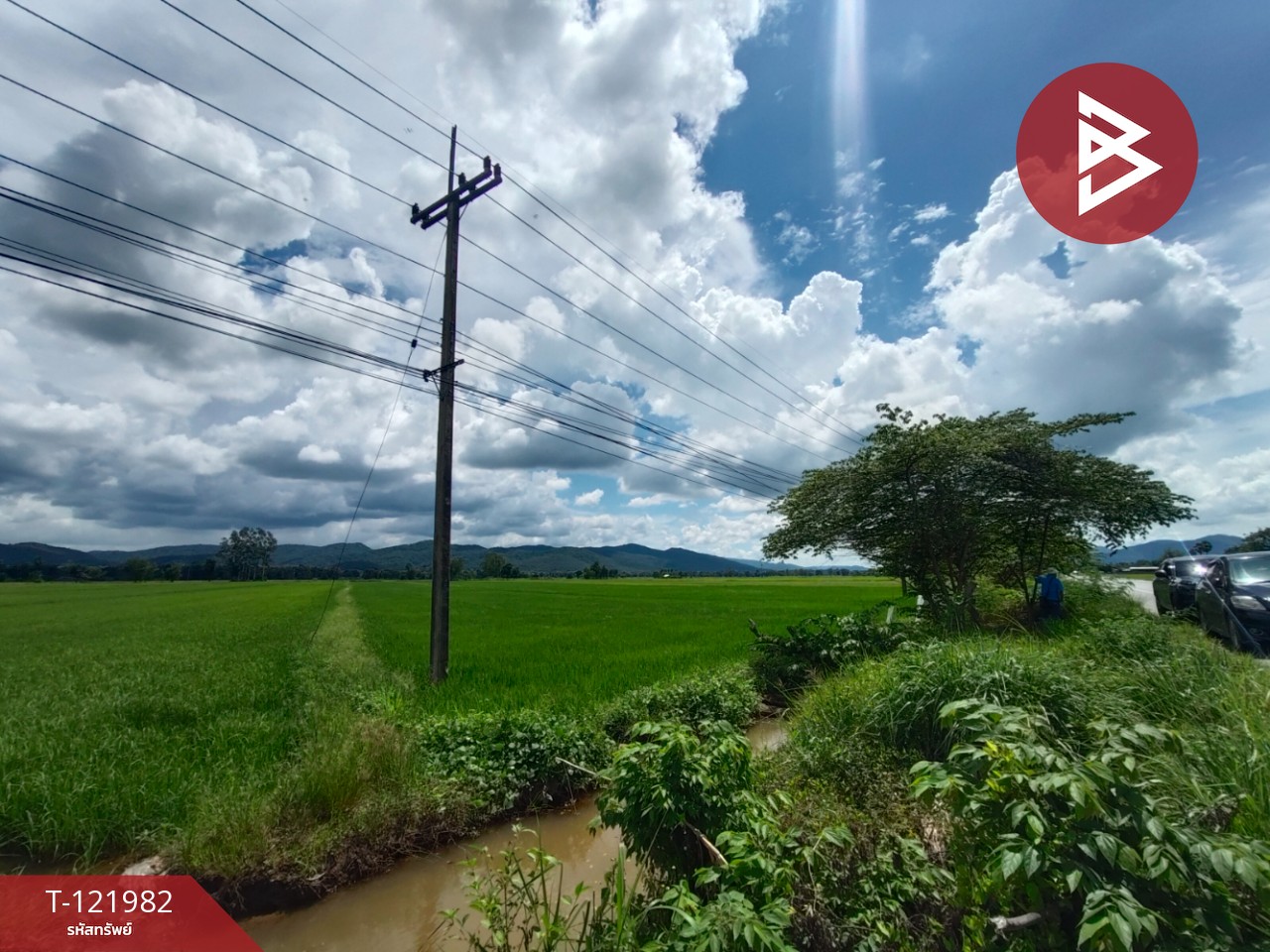 ขายที่ดิน เนื้อที่ 5 ไร่ 1 งาน 2 ตร.วา ทองแสนขัน อุตรดิตถ์ 8