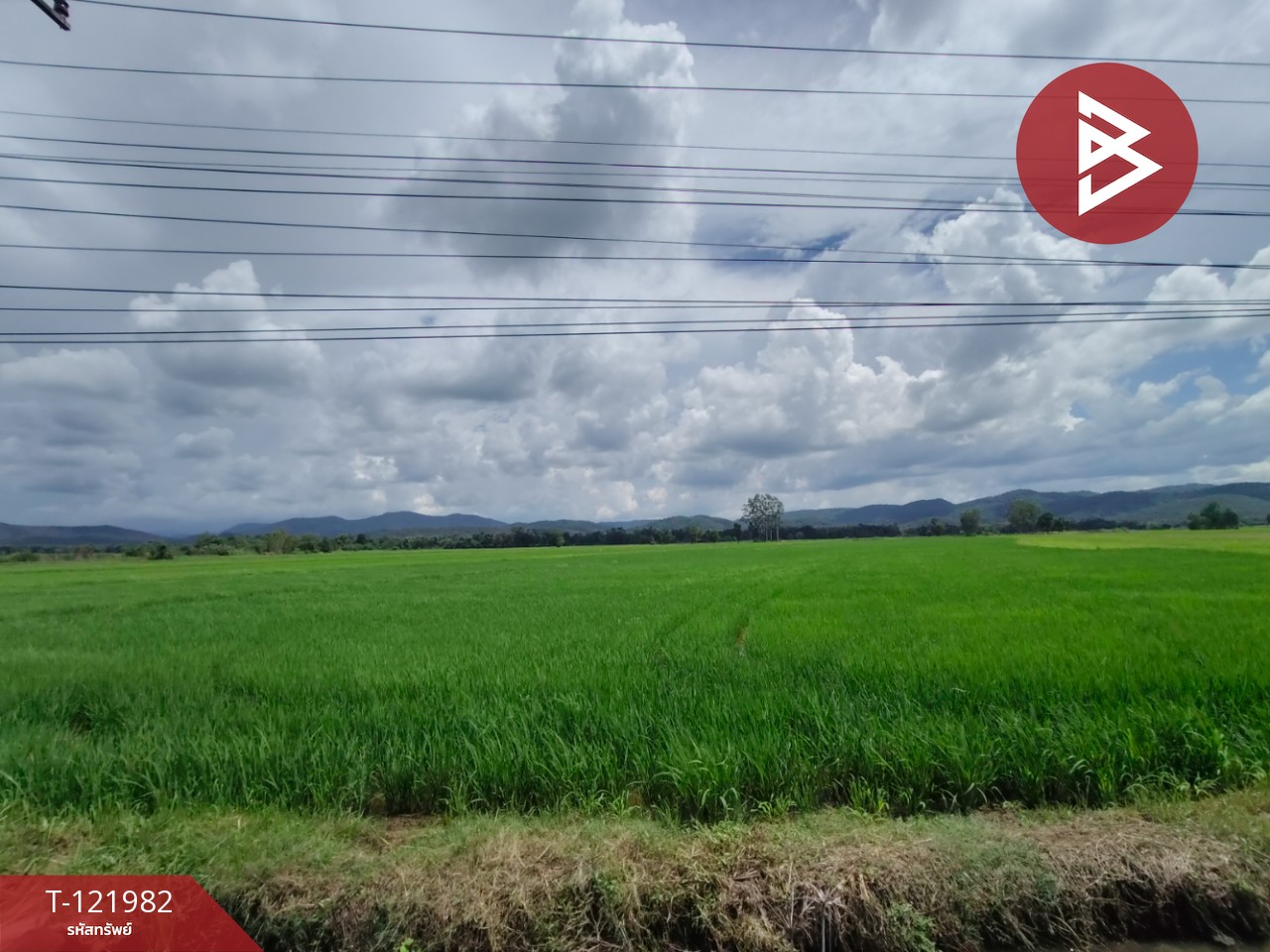 ขายที่ดิน เนื้อที่ 5 ไร่ 1 งาน 2 ตร.วา ทองแสนขัน อุตรดิตถ์ 3