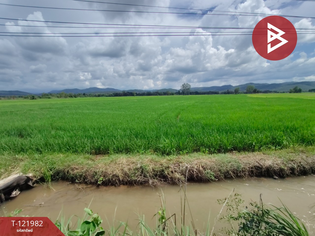 ขายที่ดิน เนื้อที่ 5 ไร่ 1 งาน 2 ตร.วา ทองแสนขัน อุตรดิตถ์ 1