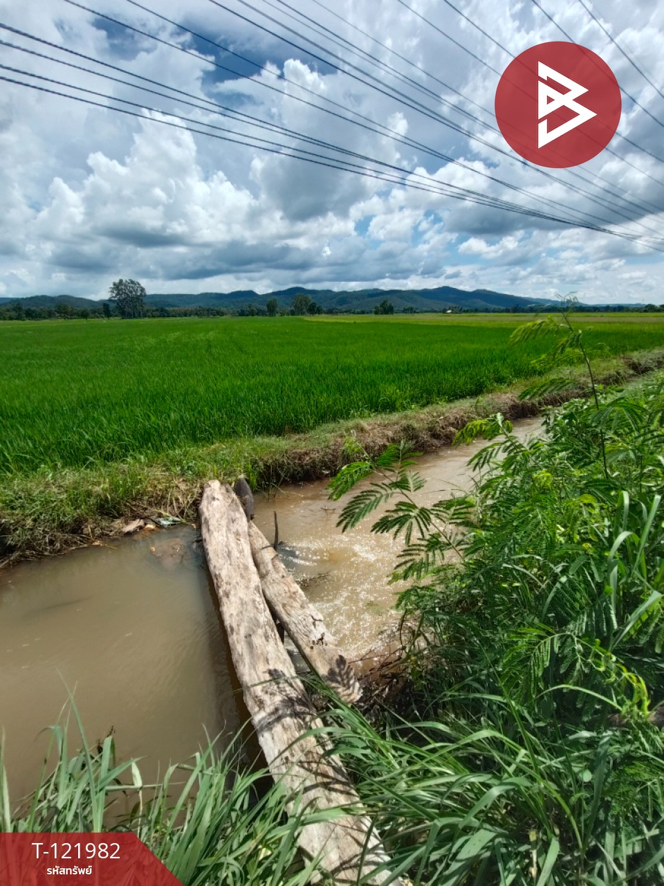 ขายที่ดิน เนื้อที่ 5 ไร่ 1 งาน 2 ตร.วา ทองแสนขัน อุตรดิตถ์ 6