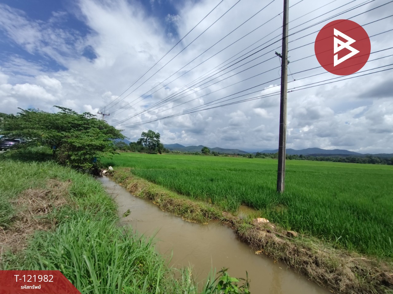 ขายที่ดิน เนื้อที่ 5 ไร่ 1 งาน 2 ตร.วา ทองแสนขัน อุตรดิตถ์ 11