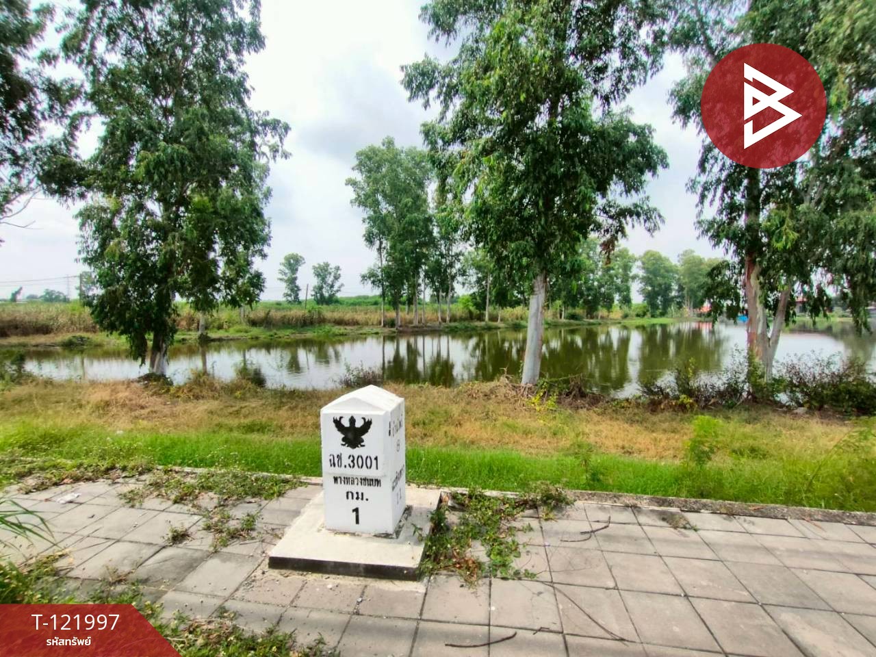 ขายที่ดิน เนื้อที่ 40 ไร่ บ้านโพธิ์ ฉะเชิงเทรา 2