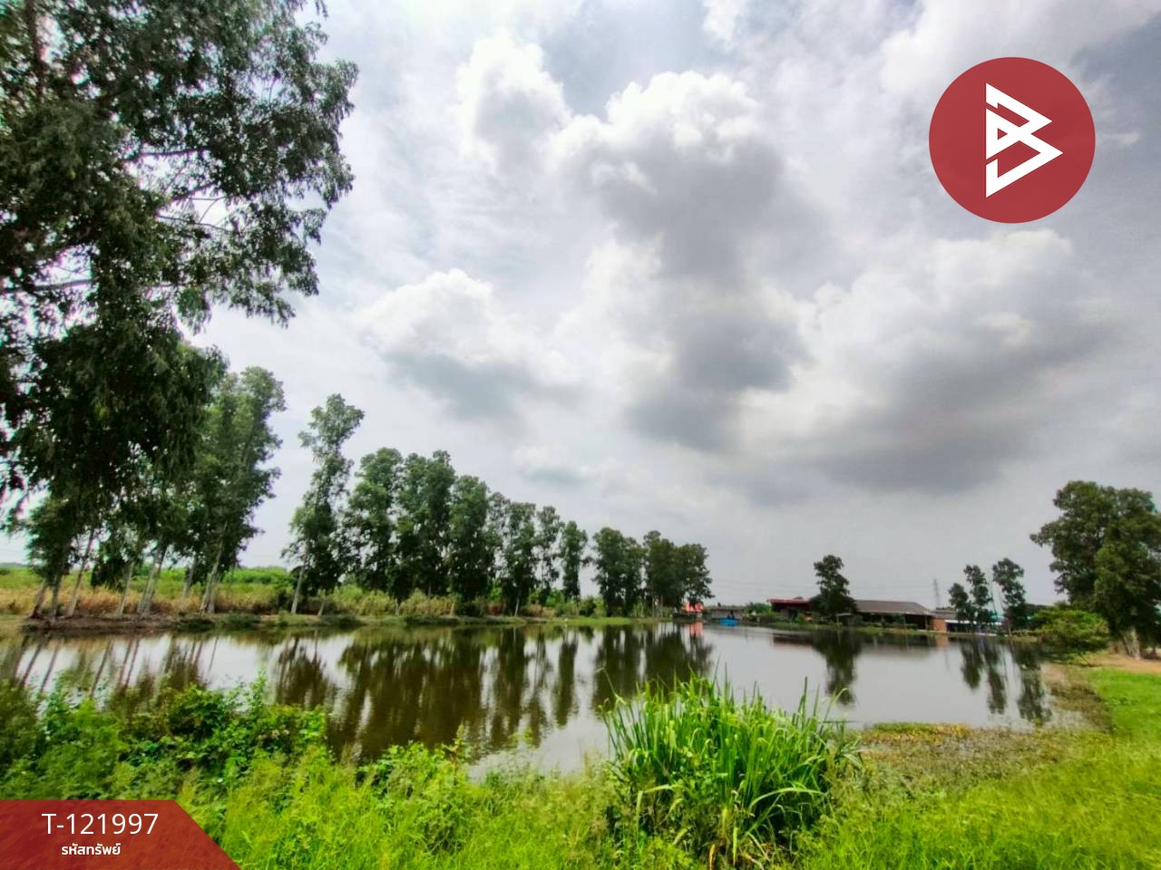 ขายที่ดิน เนื้อที่ 40 ไร่ บ้านโพธิ์ ฉะเชิงเทรา 5