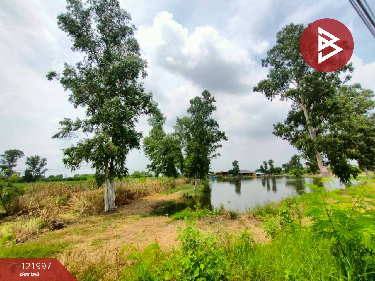 ขายที่ดิน เนื้อที่ 40 ไร่ บ้านโพธิ์ ฉะเชิงเทรา 1