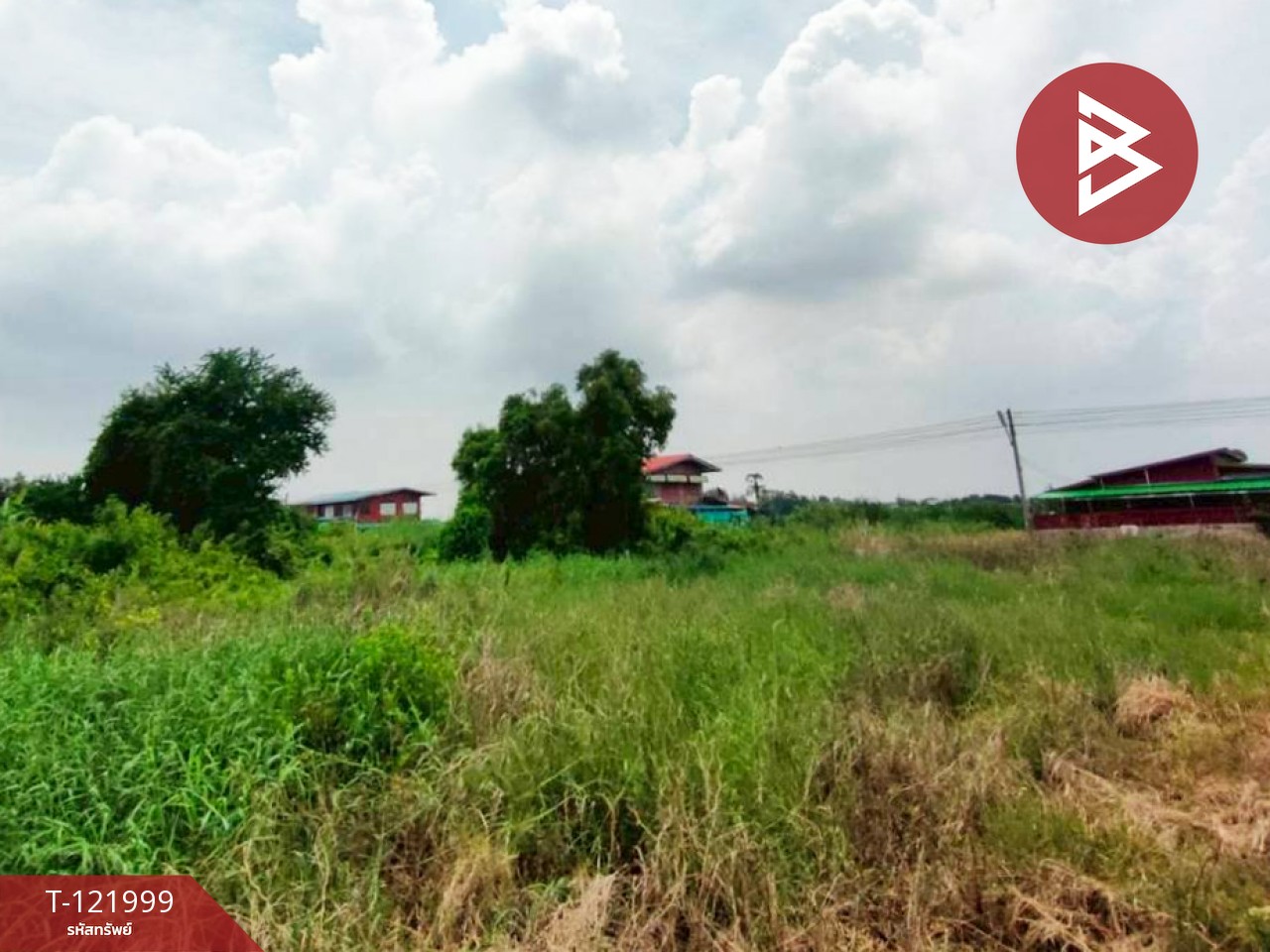 ขายที่ดิน เนื้อที่ 1 งาน 29 ตร.วา บ้านโพธิ์ ฉะเชิงเทรา 4