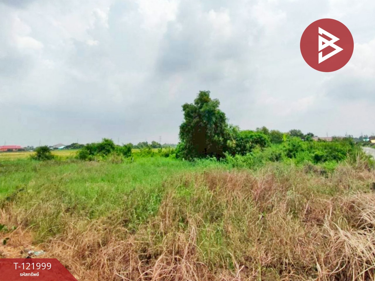 ขายที่ดิน เนื้อที่ 1 งาน 29 ตร.วา บ้านโพธิ์ ฉะเชิงเทรา 7