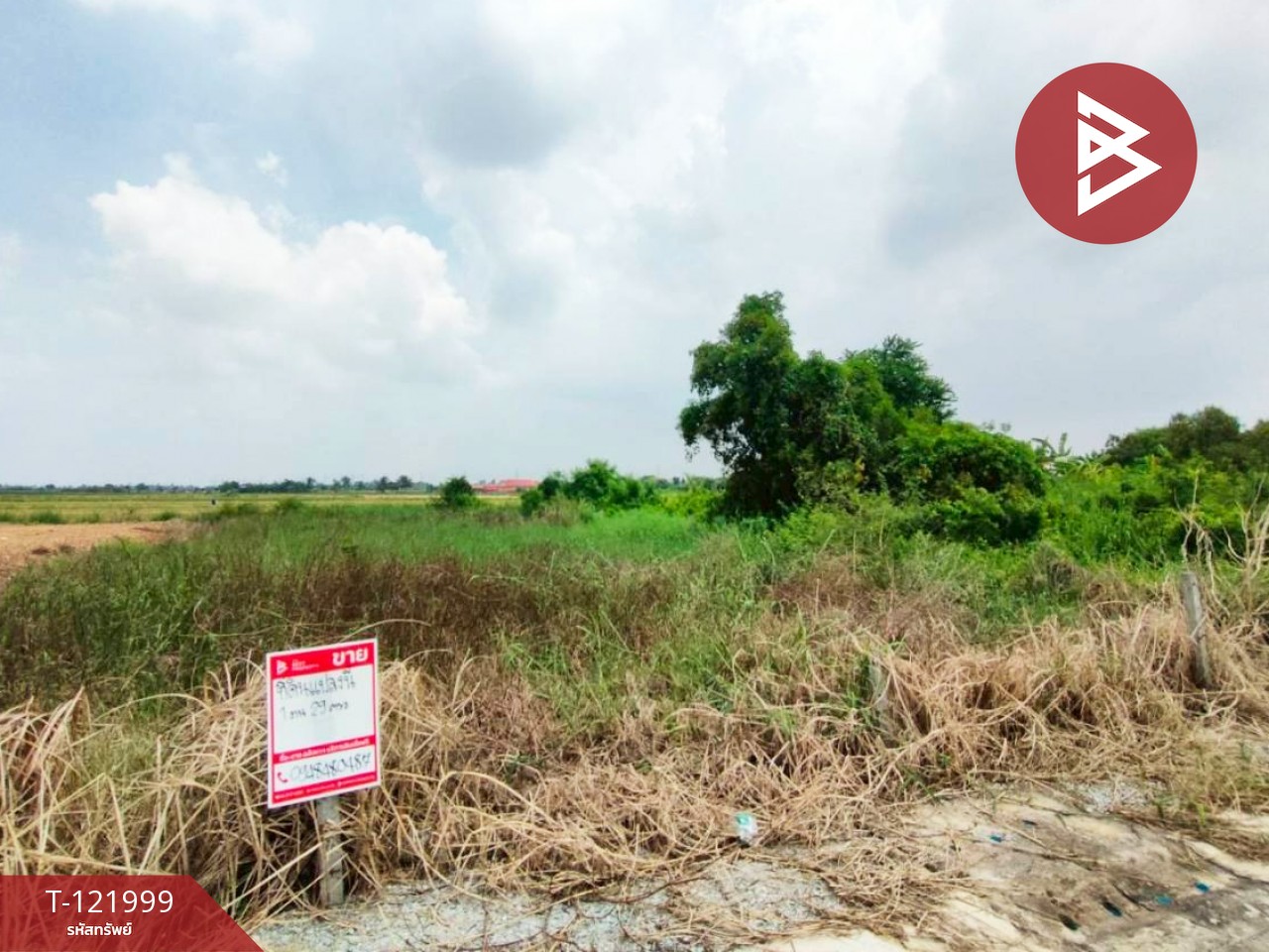 ขายที่ดิน เนื้อที่ 1 งาน 29 ตร.วา บ้านโพธิ์ ฉะเชิงเทรา 1