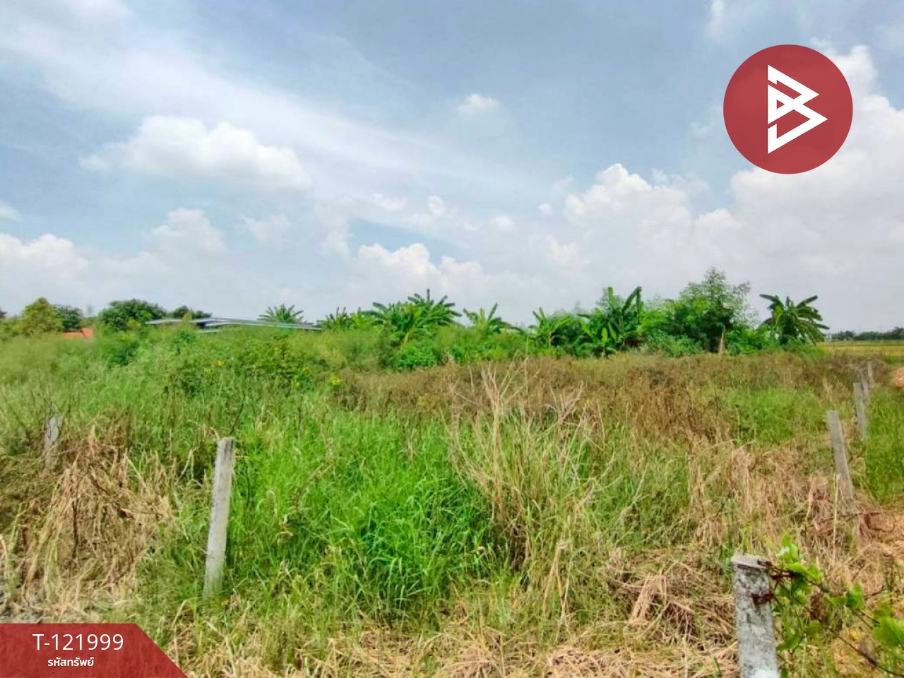 ขายที่ดิน เนื้อที่ 1 งาน 29 ตร.วา บ้านโพธิ์ ฉะเชิงเทรา 3