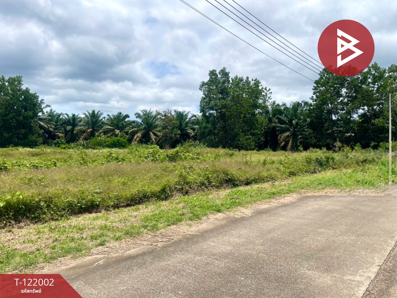 ขายที่ดิน เนื้อที่ 5 ไร่ 1 งาน 9 ตร.วา ท่าแซะ ชุมพร 3