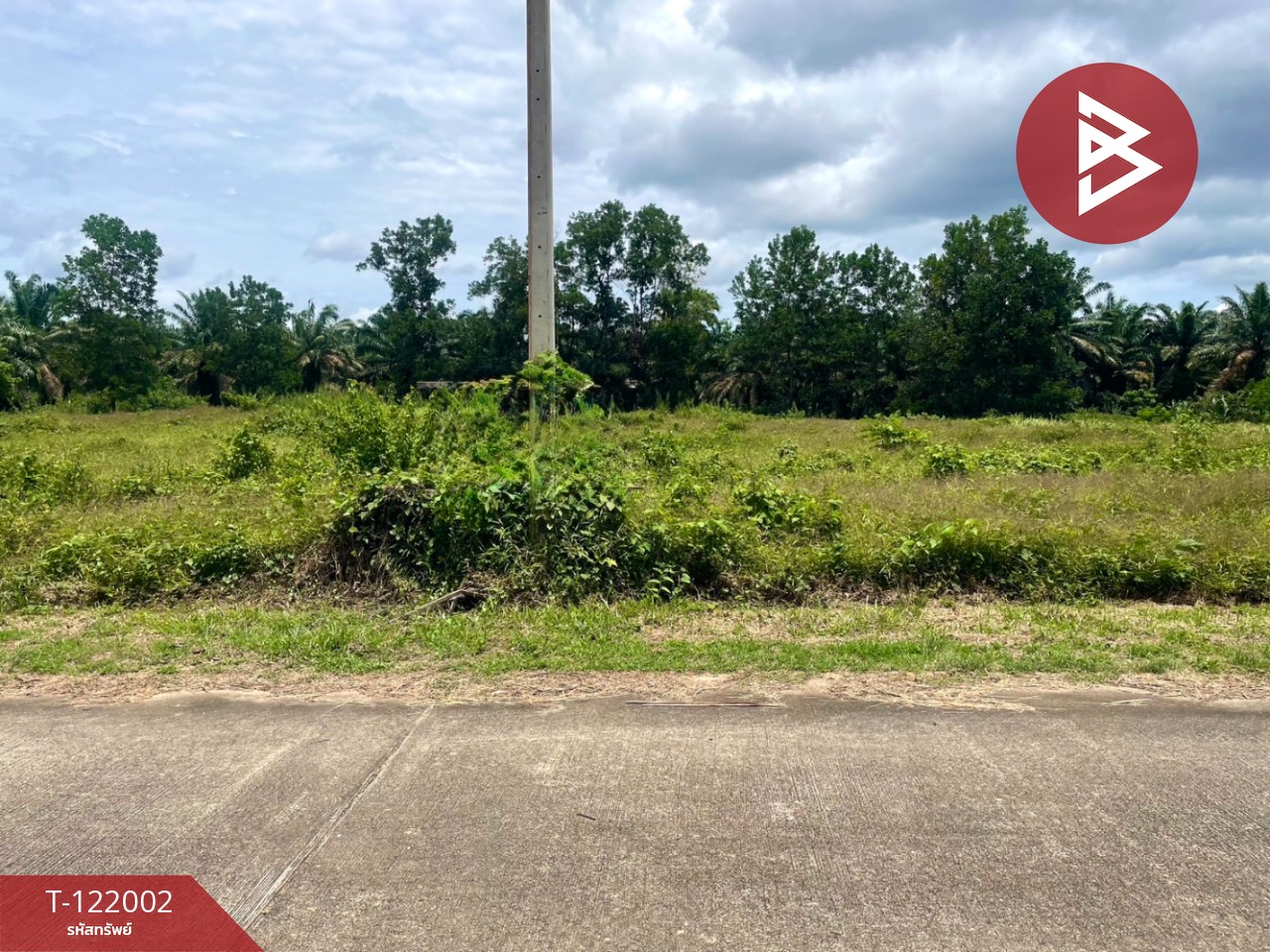 ขายที่ดิน เนื้อที่ 5 ไร่ 1 งาน 9 ตร.วา ท่าแซะ ชุมพร 1
