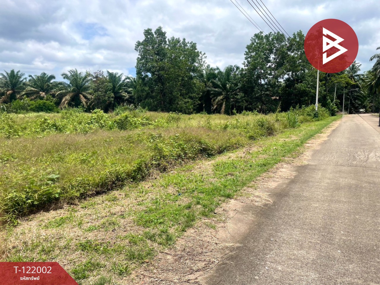 ขายที่ดิน เนื้อที่ 5 ไร่ 1 งาน 9 ตร.วา ท่าแซะ ชุมพร 2