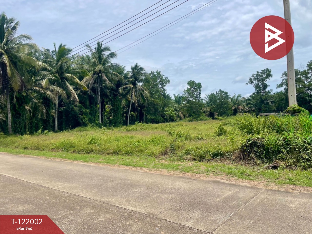 ขายที่ดิน เนื้อที่ 5 ไร่ 1 งาน 9 ตร.วา ท่าแซะ ชุมพร 6