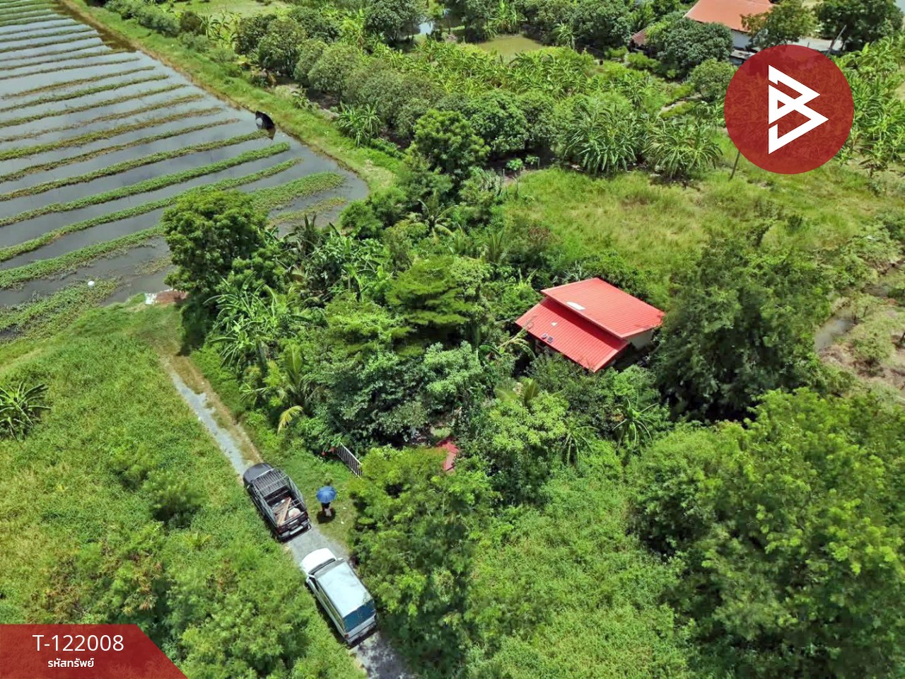 ขายที่ดิน เนื้อที่ 1 งาน บางเลน นครปฐม 7
