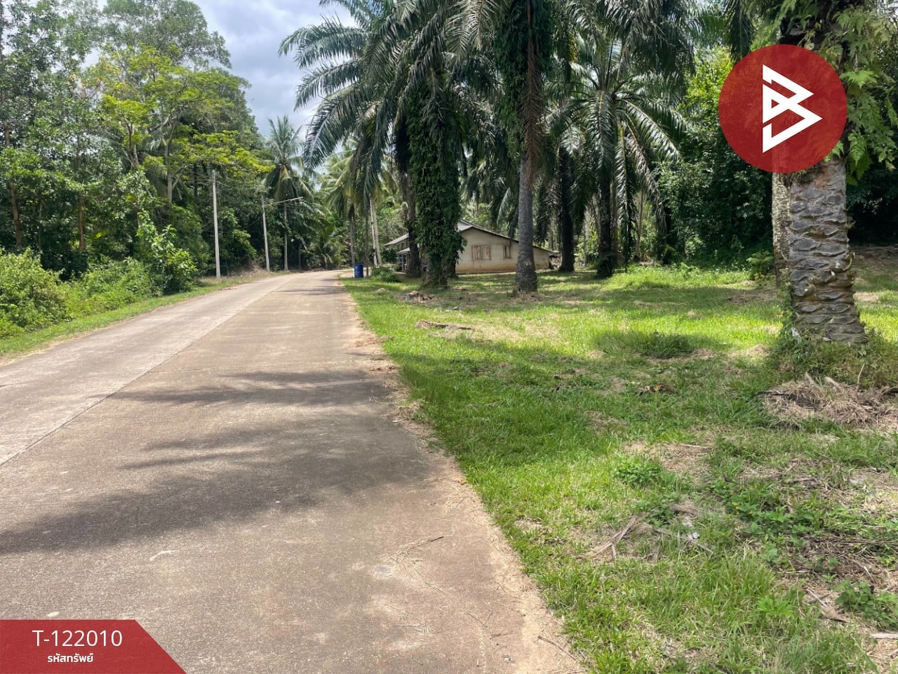 ขายที่ดินสวนปาล์มน้ำมัน เนื้อที่ 14 ไร่ 70 ตารางวา ท่าแซะ ชุมพร 8