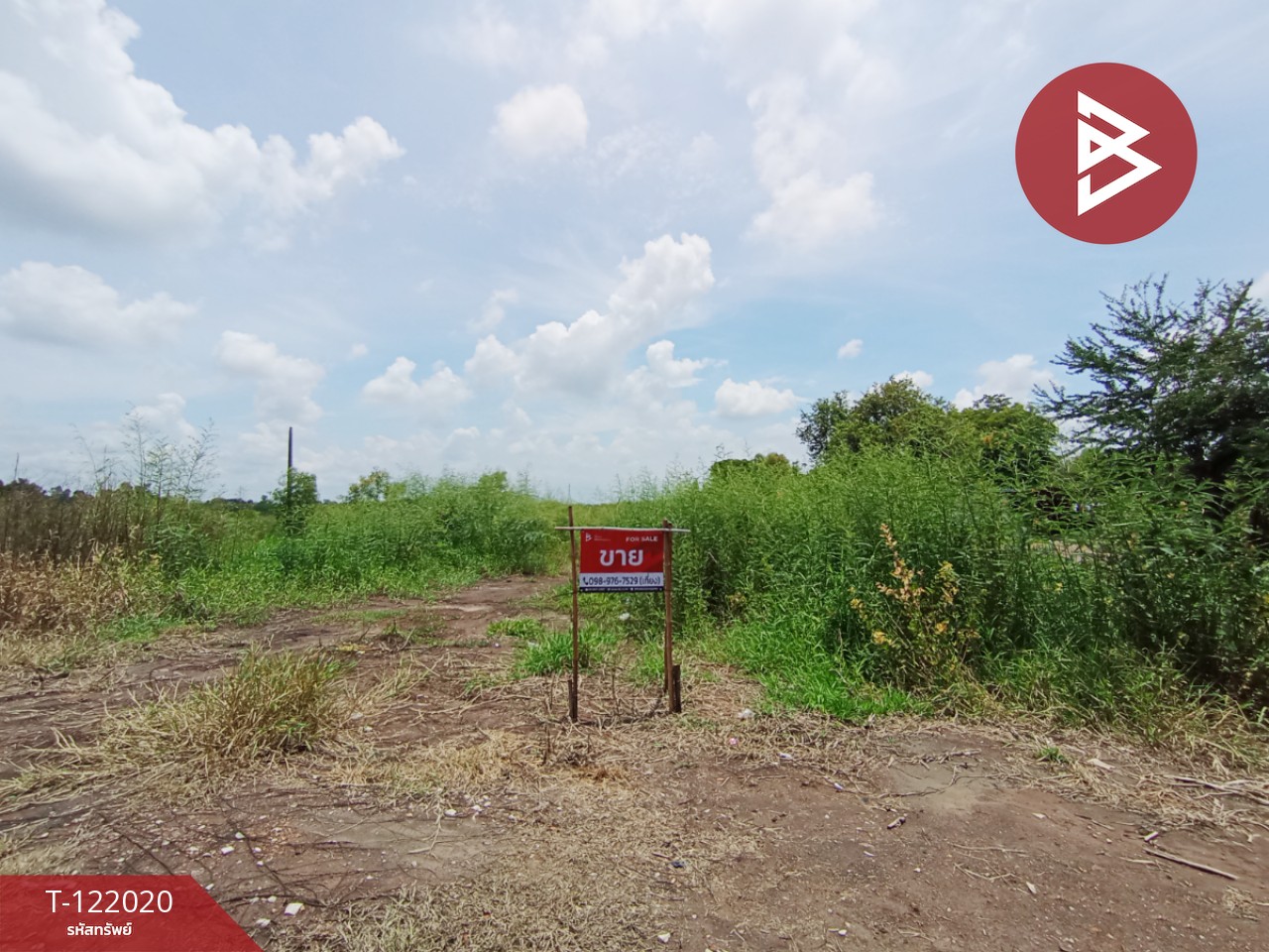 ขายที่ดินเปล่า เนื้อที่ 28 ไร่ 1 งาน 35.5 ตารางวา วังน้อย พระนครศรีอยุธยา 8