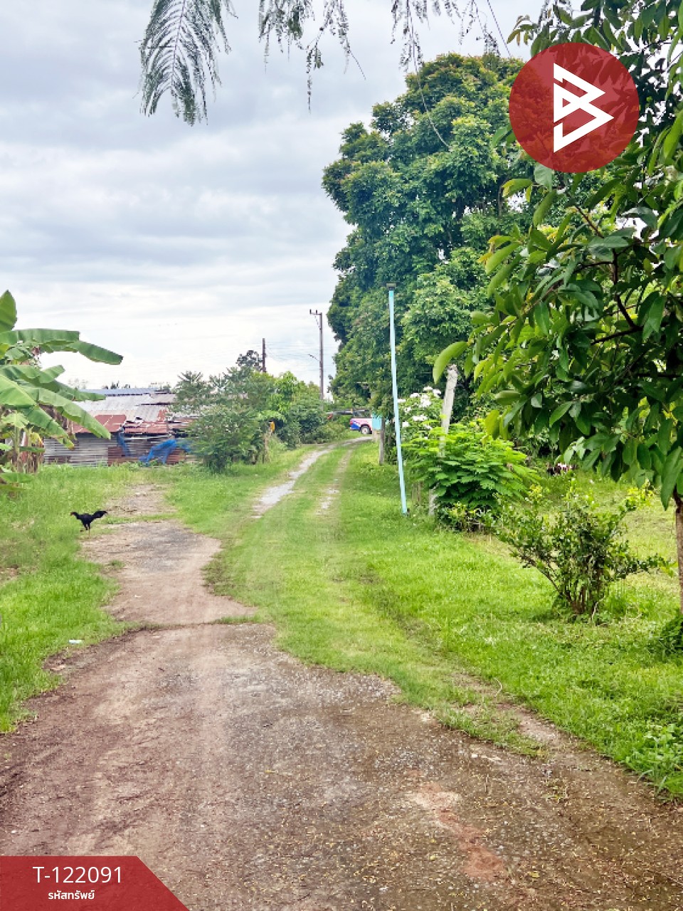 ขายบ้านเดี่ยวพร้อมที่ดิน เนื้อที่ 2 ไร่ 3 งาน 14 ตร.วา หนองไฮ อุดรธานี 14