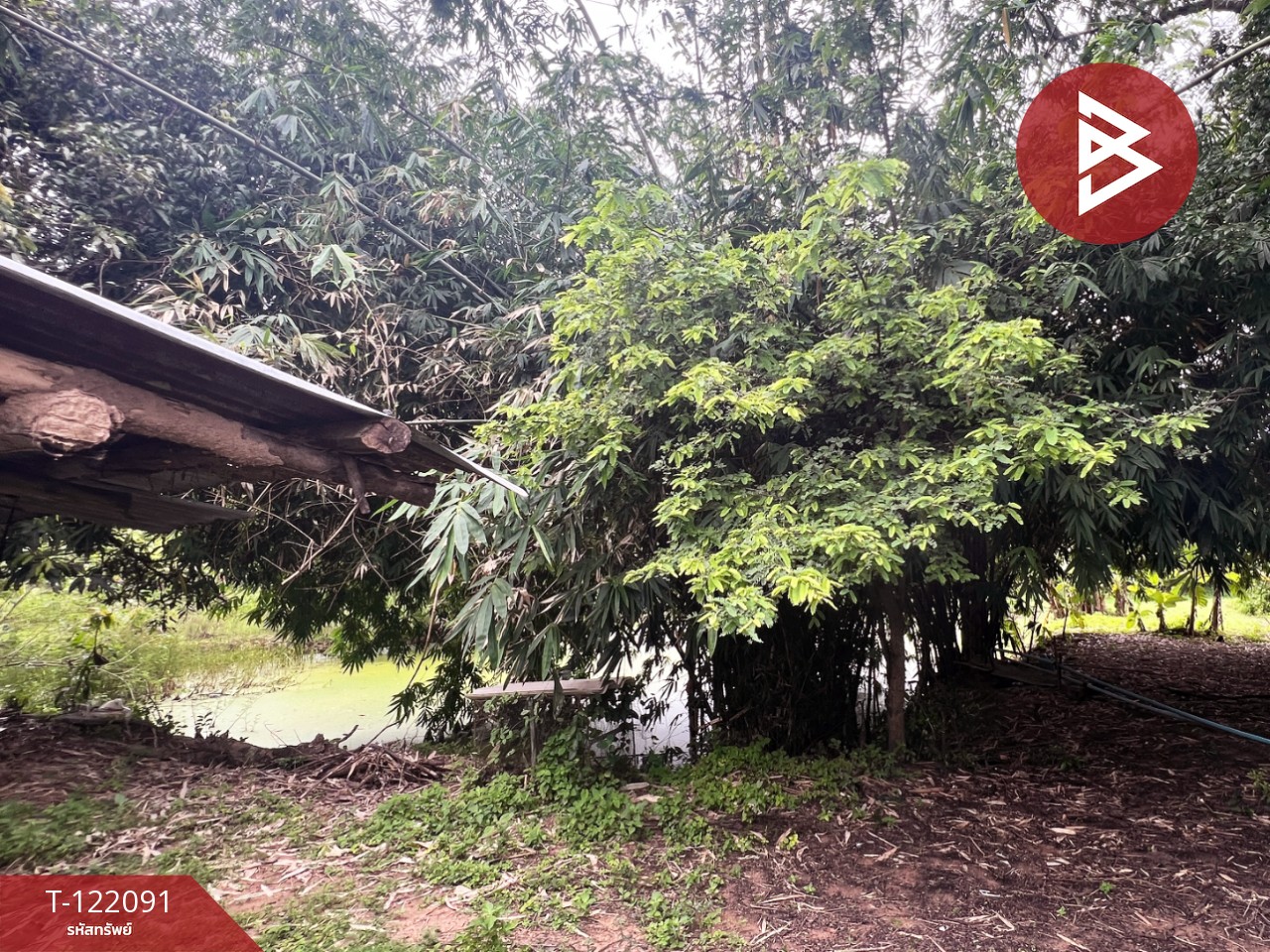 ขายบ้านเดี่ยวพร้อมที่ดิน เนื้อที่ 2 ไร่ 3 งาน 14 ตร.วา หนองไฮ อุดรธานี 15