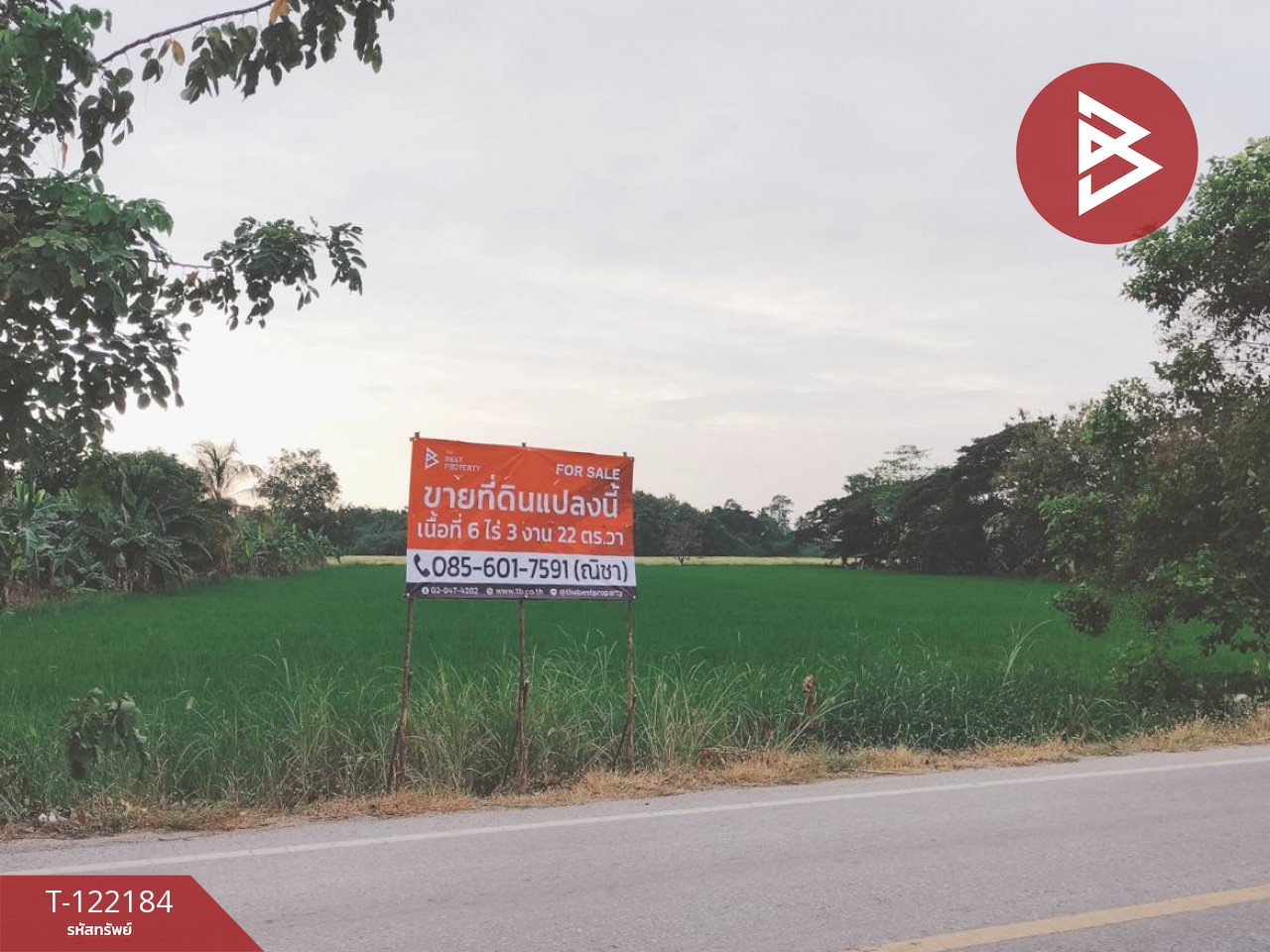 ขายที่ดิน เนื้อที่ 6 ไร่ 3 งาน 22 ตร.วา บึงพระ พิษณุโลก 1