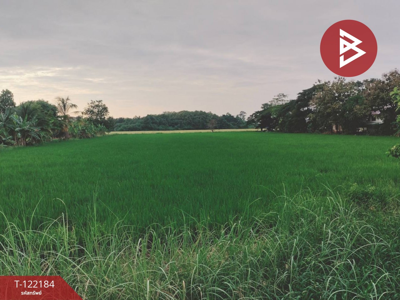 ขายที่ดิน เนื้อที่ 6 ไร่ 3 งาน 22 ตร.วา บึงพระ พิษณุโลก 2