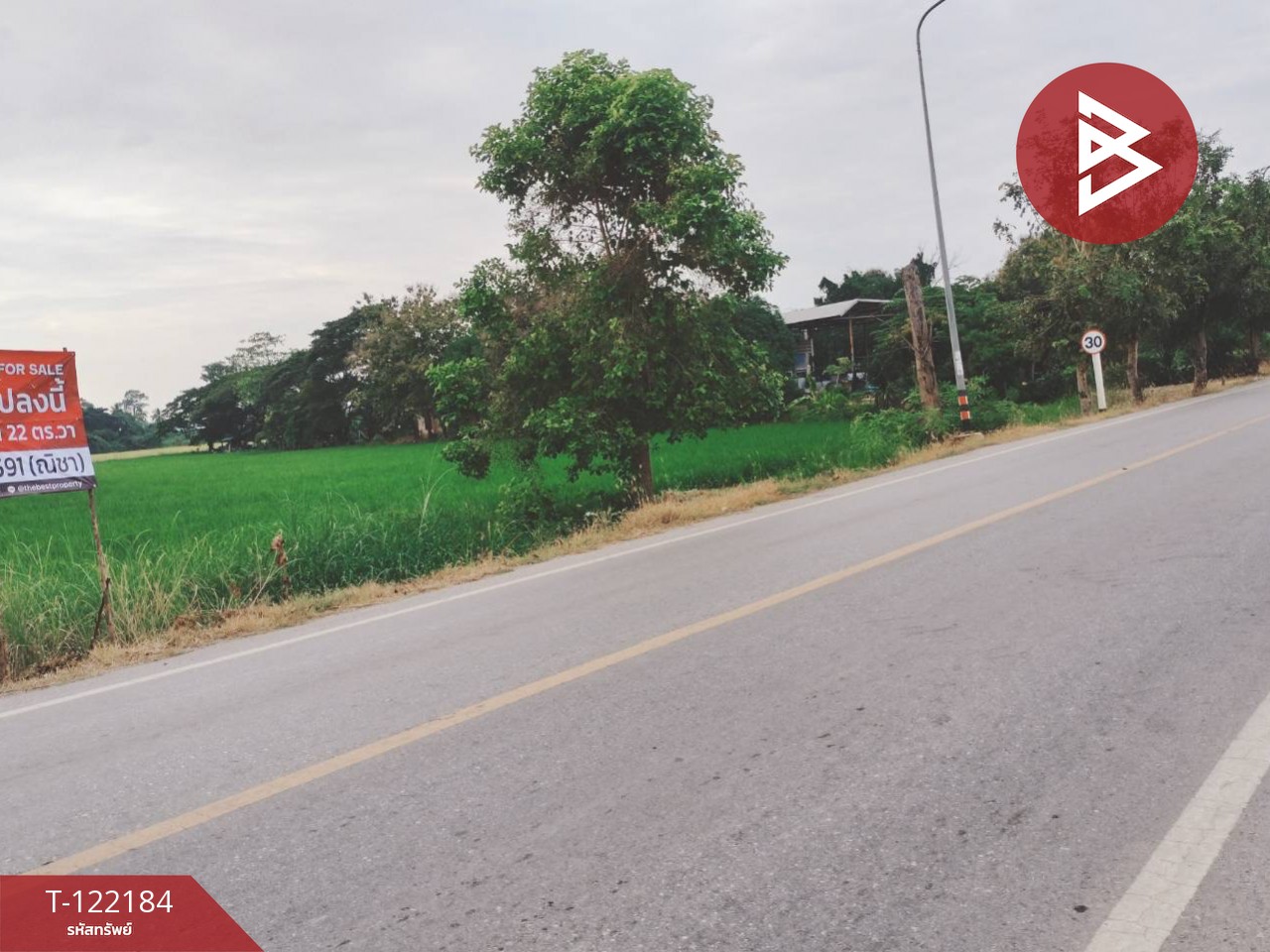 ขายที่ดิน เนื้อที่ 6 ไร่ 3 งาน 22 ตร.วา บึงพระ พิษณุโลก 8