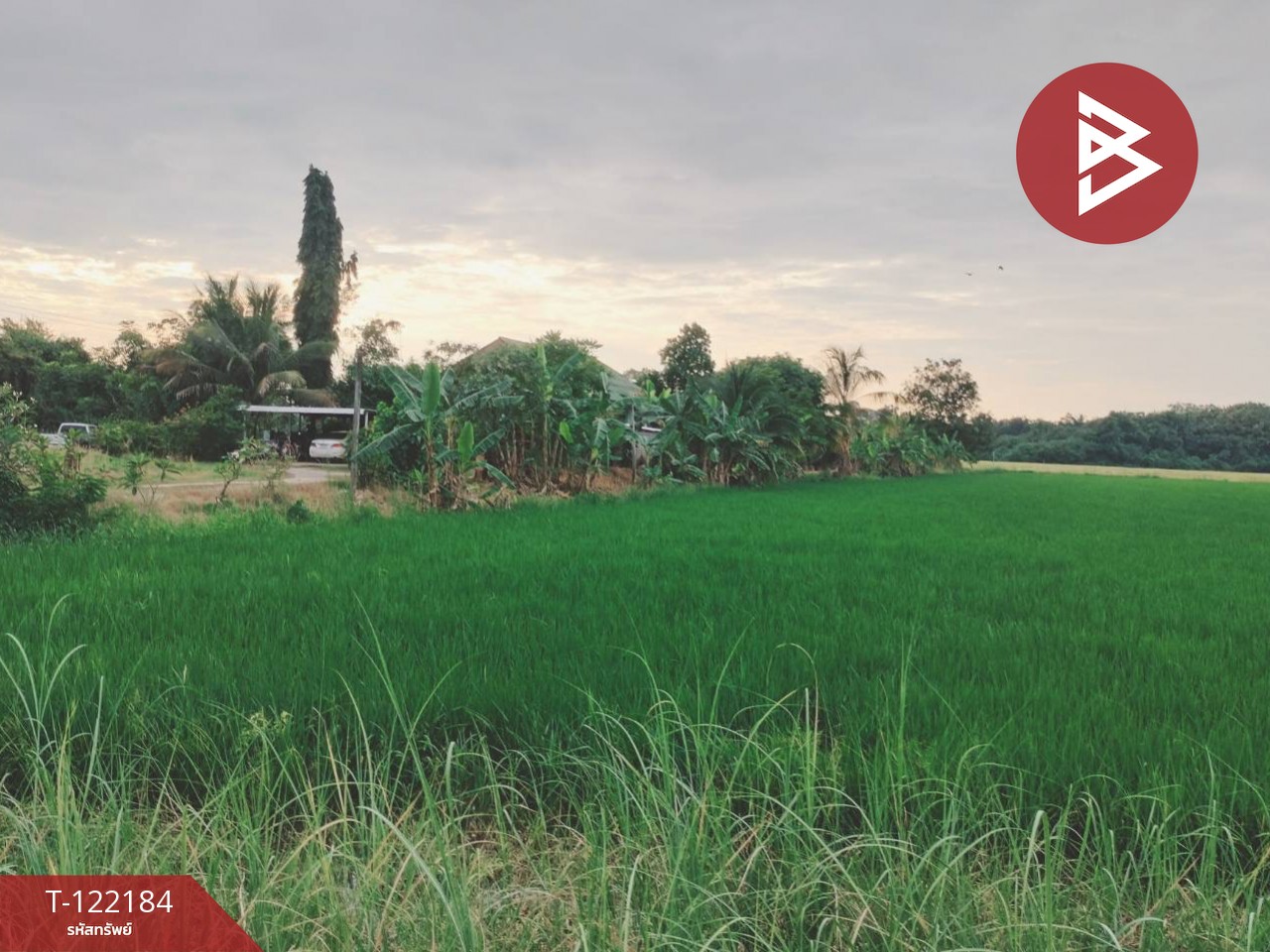 ขายที่ดิน เนื้อที่ 6 ไร่ 3 งาน 22 ตร.วา บึงพระ พิษณุโลก 3