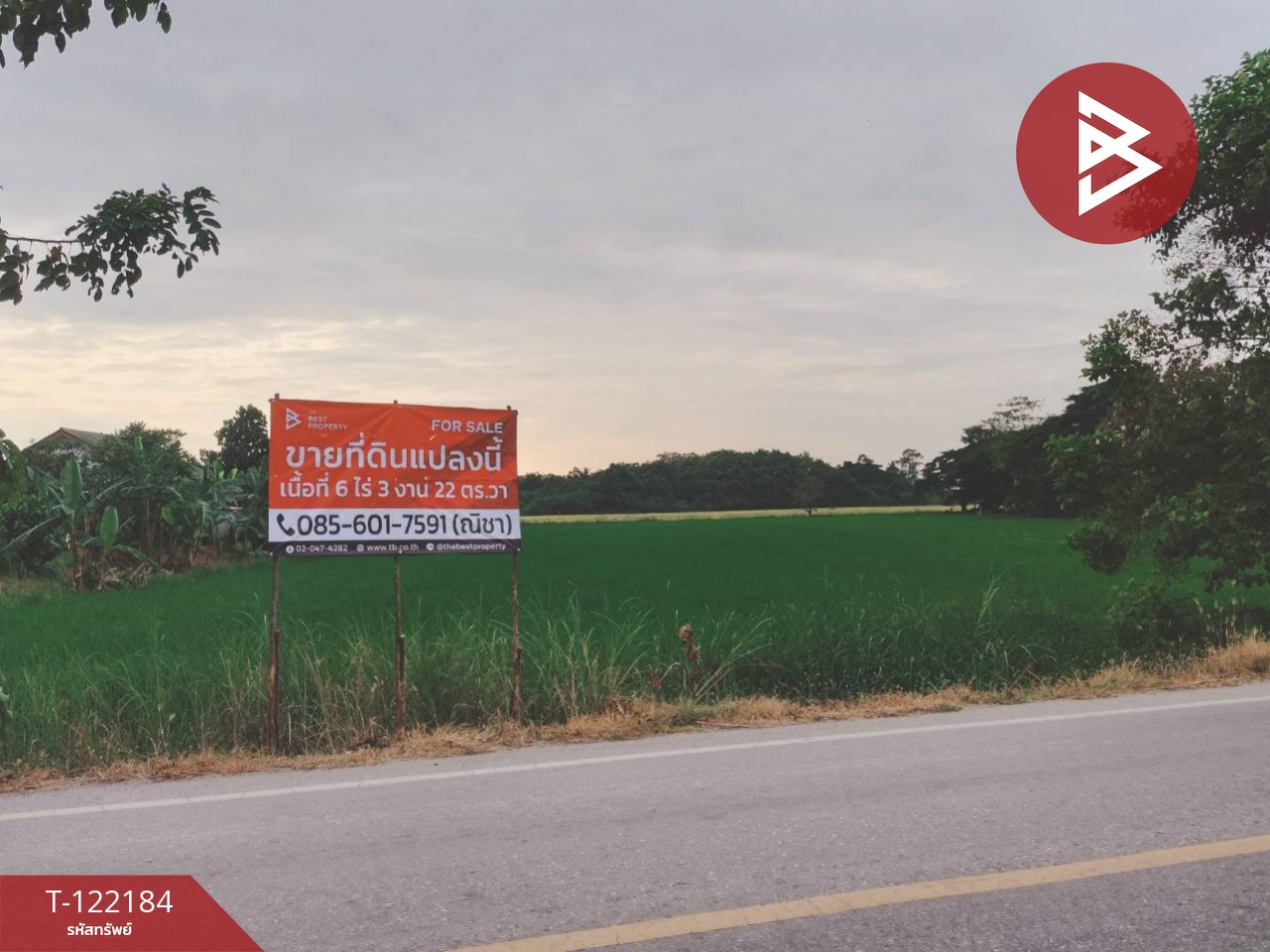 ขายที่ดิน เนื้อที่ 6 ไร่ 3 งาน 22 ตร.วา บึงพระ พิษณุโลก 9