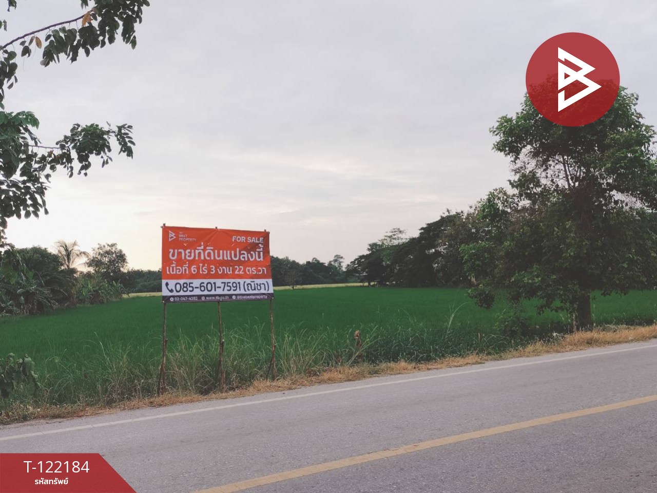 ขายที่ดิน เนื้อที่ 6 ไร่ 3 งาน 22 ตร.วา บึงพระ พิษณุโลก 7