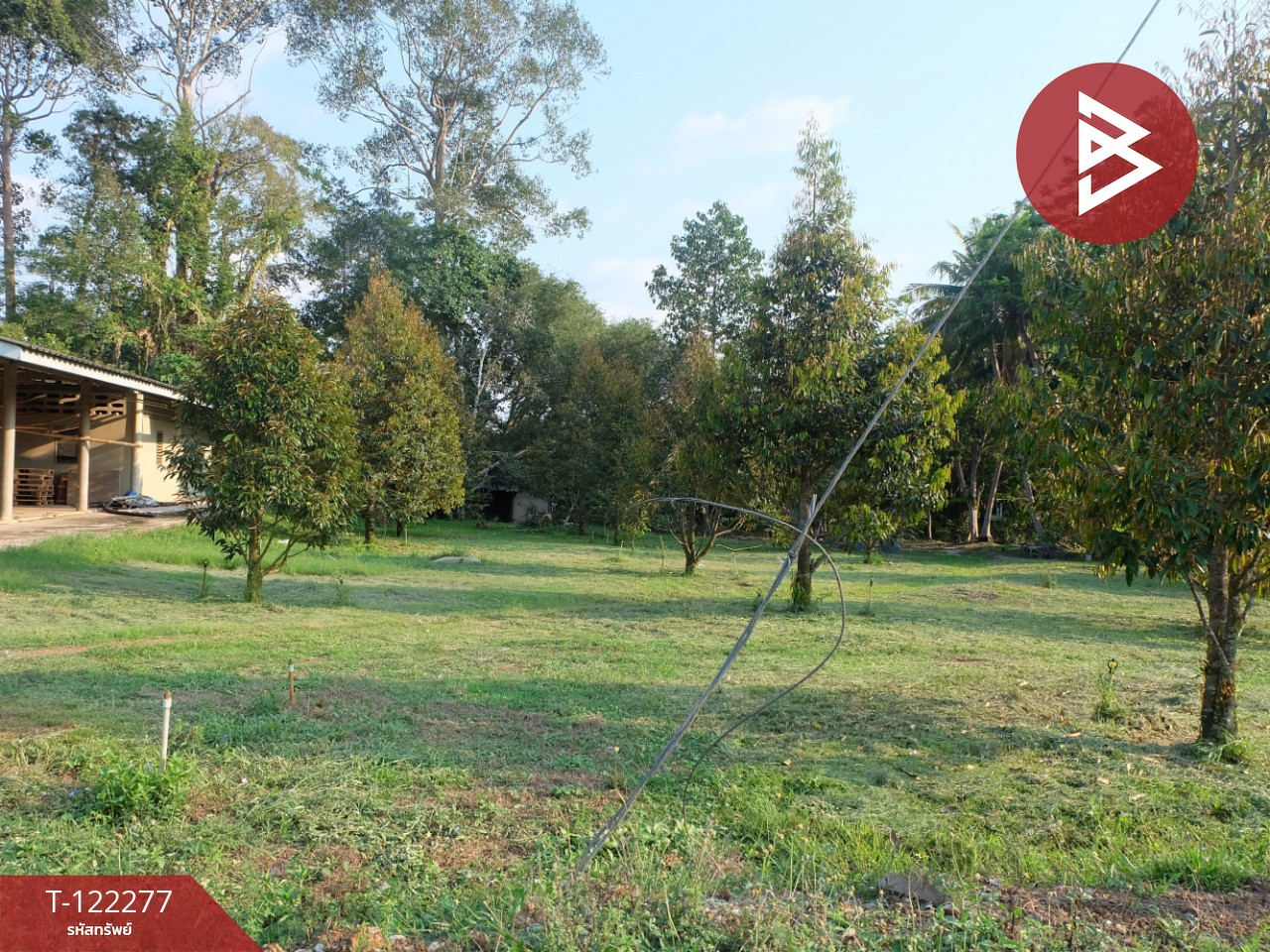 ขายที่ดิน ขายยกแปลง หรือแยกแปลงได้ เนื้อที่ 49 ไร่ 79.3 ตร.วา มีทางสาธารณะทุกแปลง ท่าช้าง จันทบุรี 11