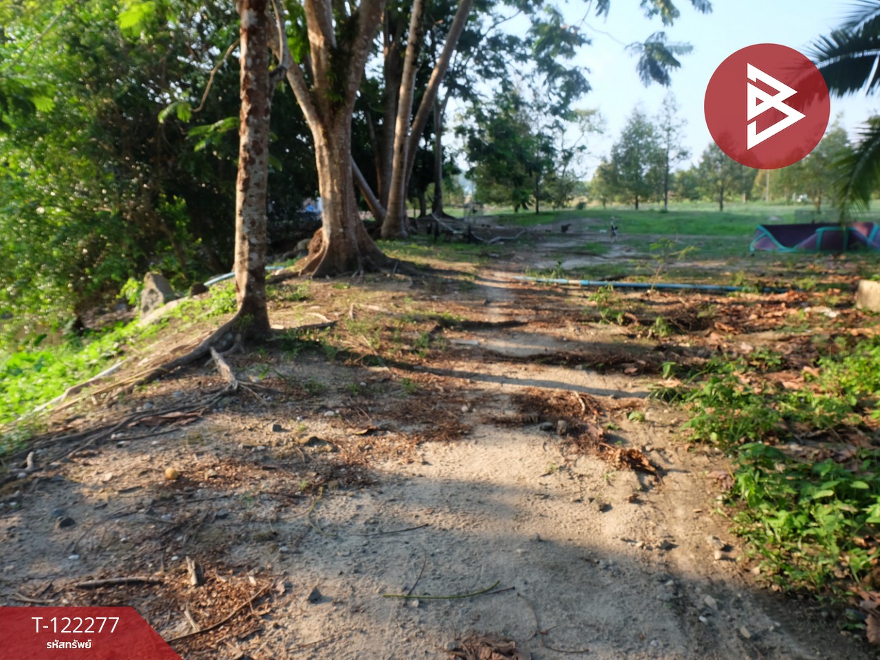 ขายที่ดิน ขายยกแปลง หรือแยกแปลงได้ เนื้อที่ 49 ไร่ 79.3 ตร.วา มีทางสาธารณะทุกแปลง ท่าช้าง จันทบุรี 10