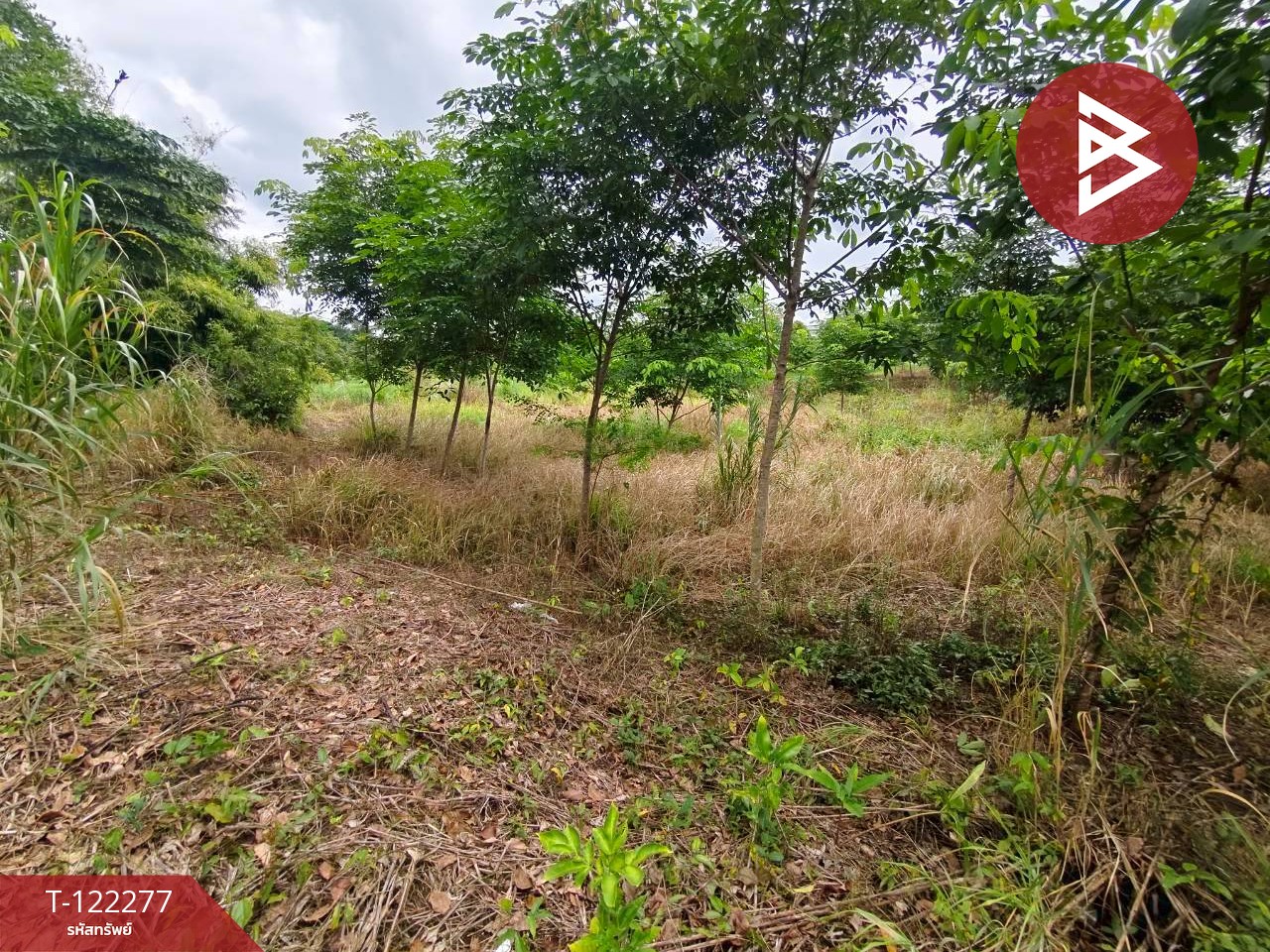 ขายที่ดิน ขายยกแปลง หรือแยกแปลงได้ เนื้อที่ 49 ไร่ 79.3 ตร.วา มีทางสาธารณะทุกแปลง ท่าช้าง จันทบุรี 7