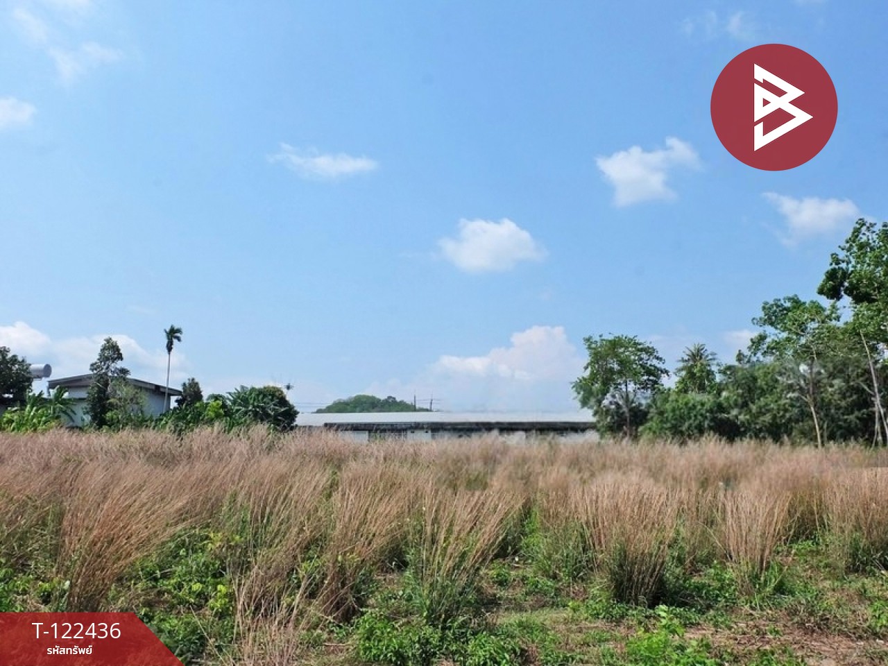 ขายที่ดิน เนื้อที่ 7 ไร่ 94 ตร.วา ท่าช้าง จันทบุรี 14