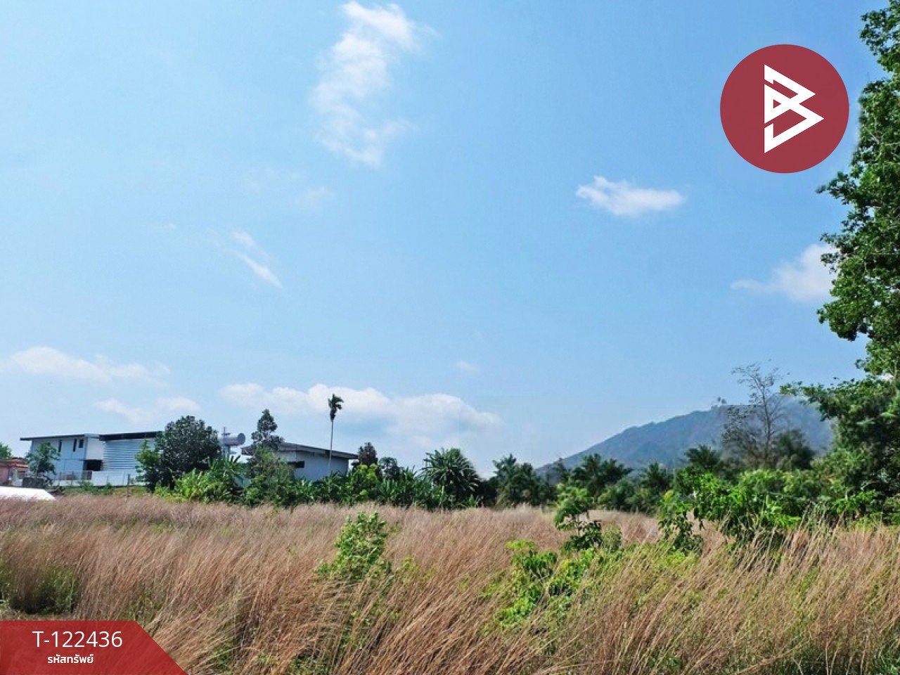 ขายที่ดิน เนื้อที่ 7 ไร่ 94 ตร.วา ท่าช้าง จันทบุรี 11