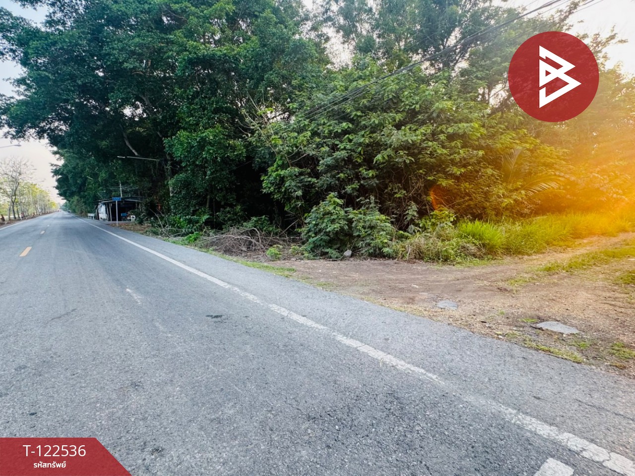 ขายที่ดินเปล่าถมแล้ว เนื้อที่ 2 งาน หนองเสือ ปทุมธานี 6