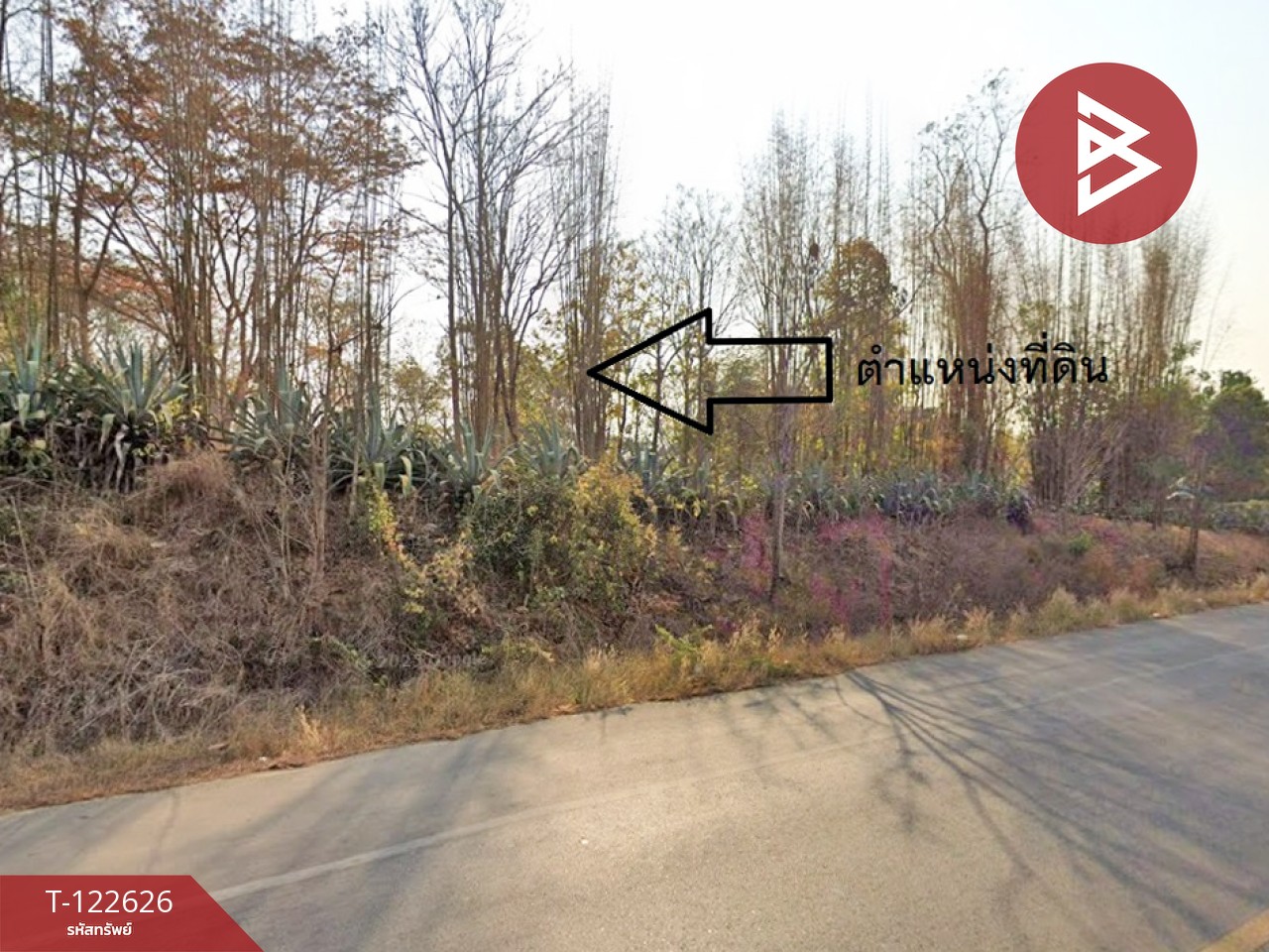 Property image 8