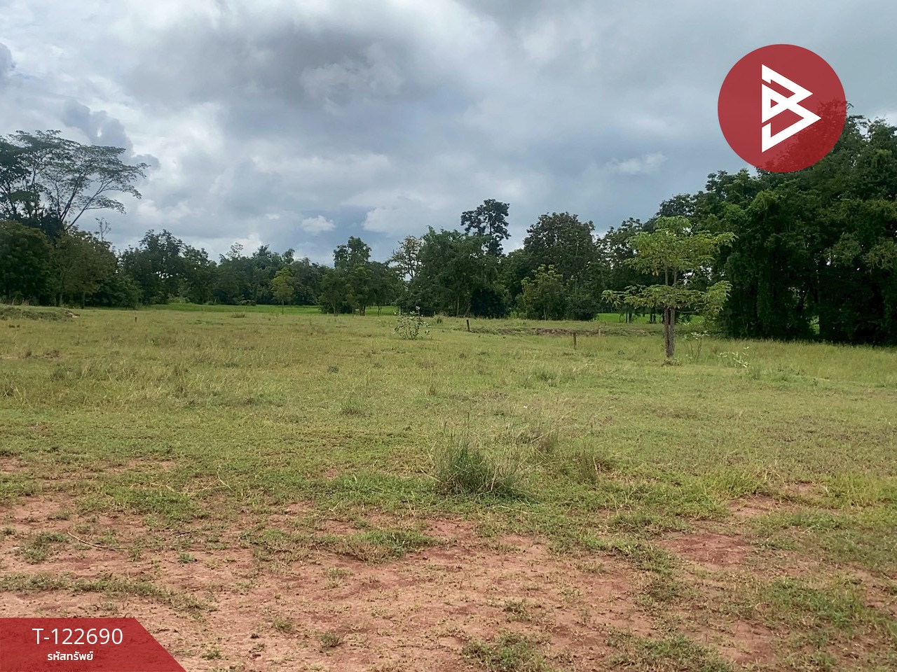 ขายที่ดิน เนื้อที่ 4 ไร่ 3 งาน 0.5 ตร.วา พระทองคำ นครราชสีมา 6