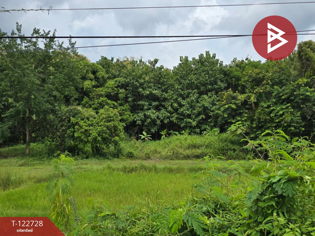 ขายที่ดิน เนื้อที่ 7 ไร่ 3 งาย 87 ตร.วา ผึ่งแดด มุกดาหาร 9