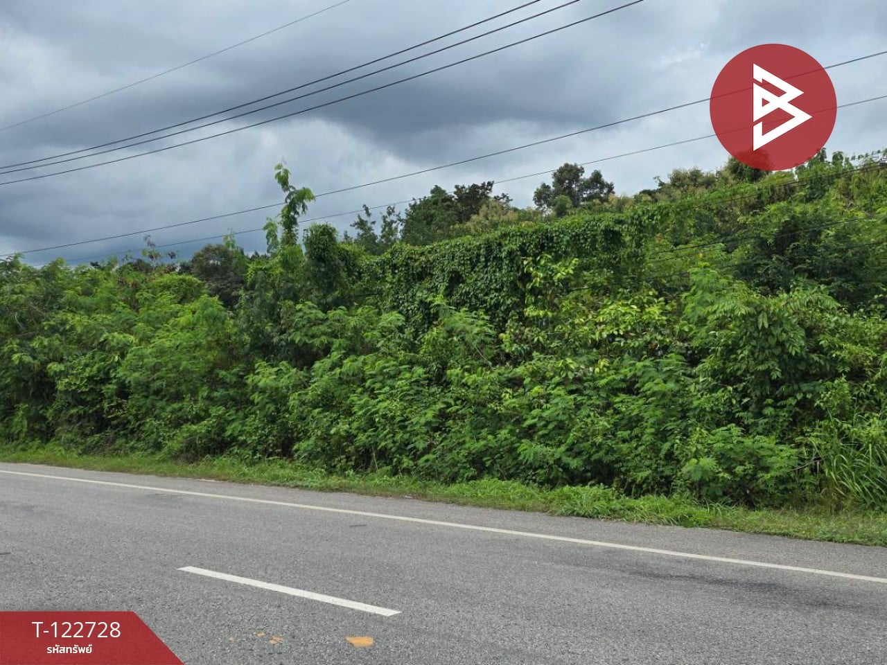 ขายที่ดิน เนื้อที่ 7 ไร่ 3 งาย 87 ตร.วา ผึ่งแดด มุกดาหาร 2