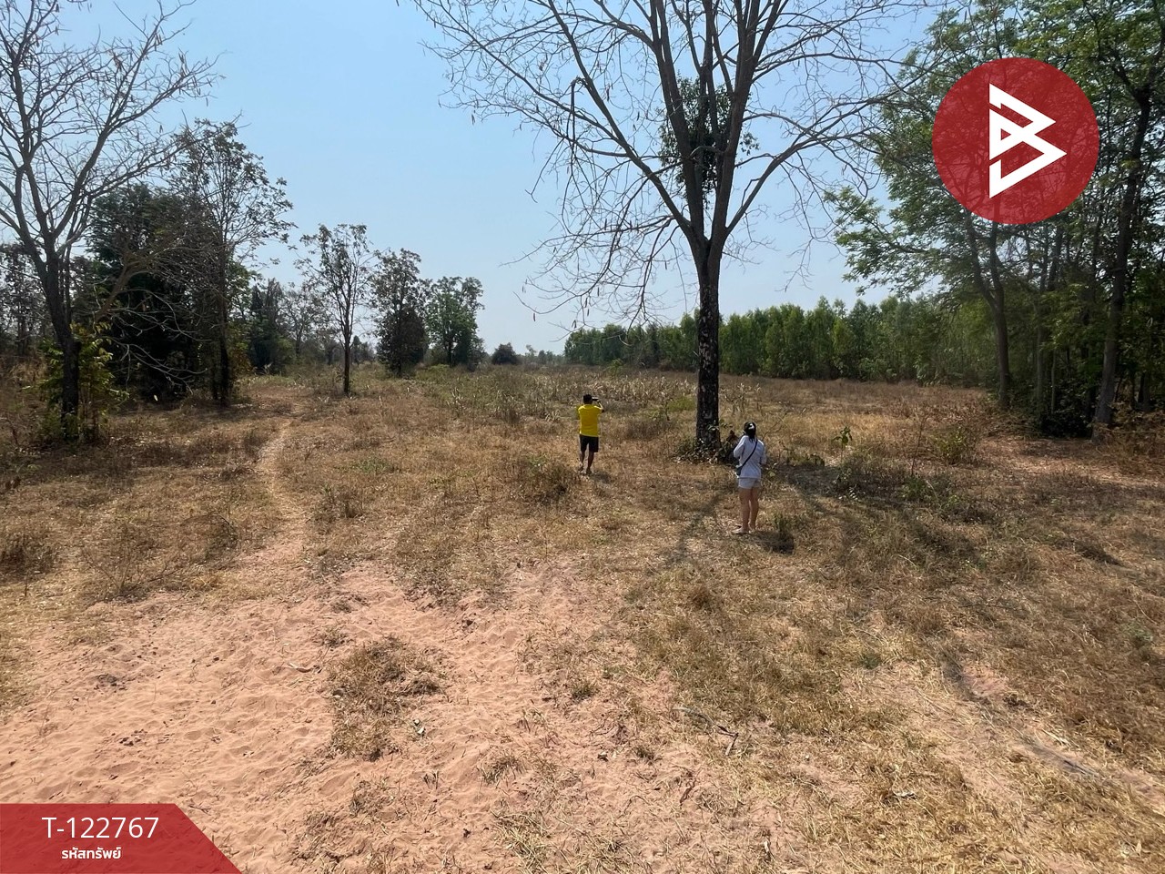 ขายที่ดิน เนื้อที่ 17 ไร่ 1 งาน 40 ตร.วา ภูเวียง ขอนแก่น 1