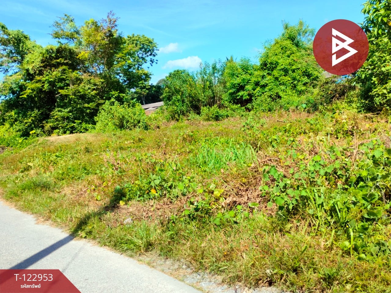 ขายที่ดินพร้อมสิ่งปลูกสร้าง เนื้อที่ 2 ไร่ 43.8 ตร.วา นาทราย นครศรีธรรมราช 6