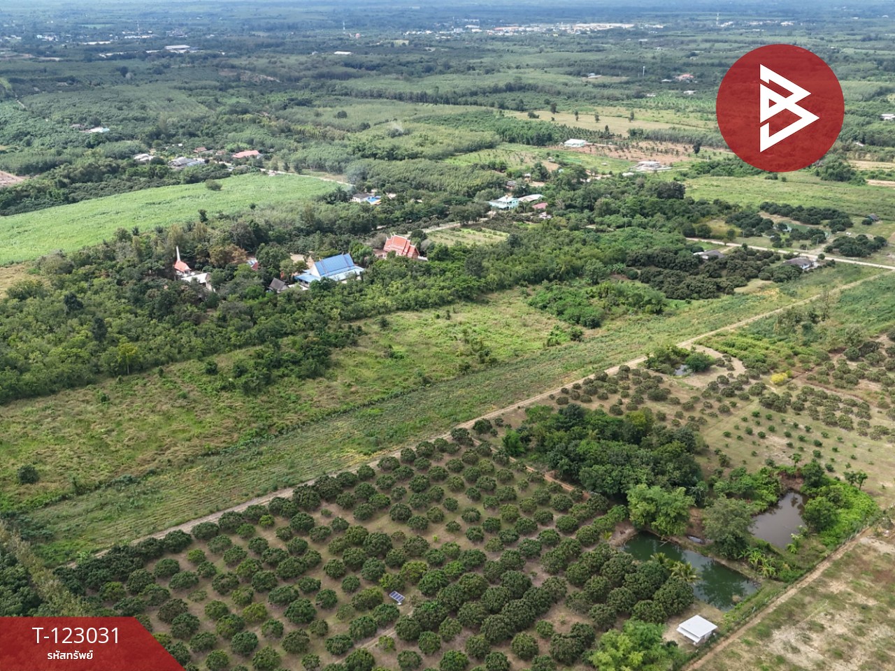 ขายที่ดิน เนื้อที่ 23 ไร่ 3 งาน 10 ตร.วา สอยดาว จันทบุรี 13