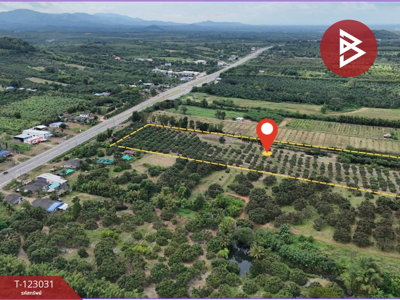 ขายที่ดิน เนื้อที่ 23 ไร่ 3 งาน 10 ตร.วา สอยดาว จันทบุรี 12