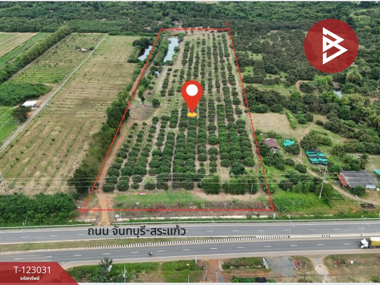 ขายที่ดิน เนื้อที่ 23 ไร่ 3 งาน 10 ตร.วา สอยดาว จันทบุรี 1