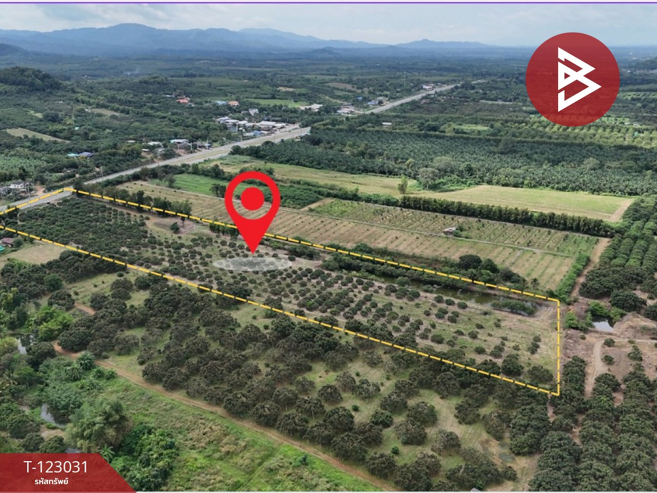 ขายที่ดิน เนื้อที่ 23 ไร่ 3 งาน 10 ตร.วา สอยดาว จันทบุรี 11