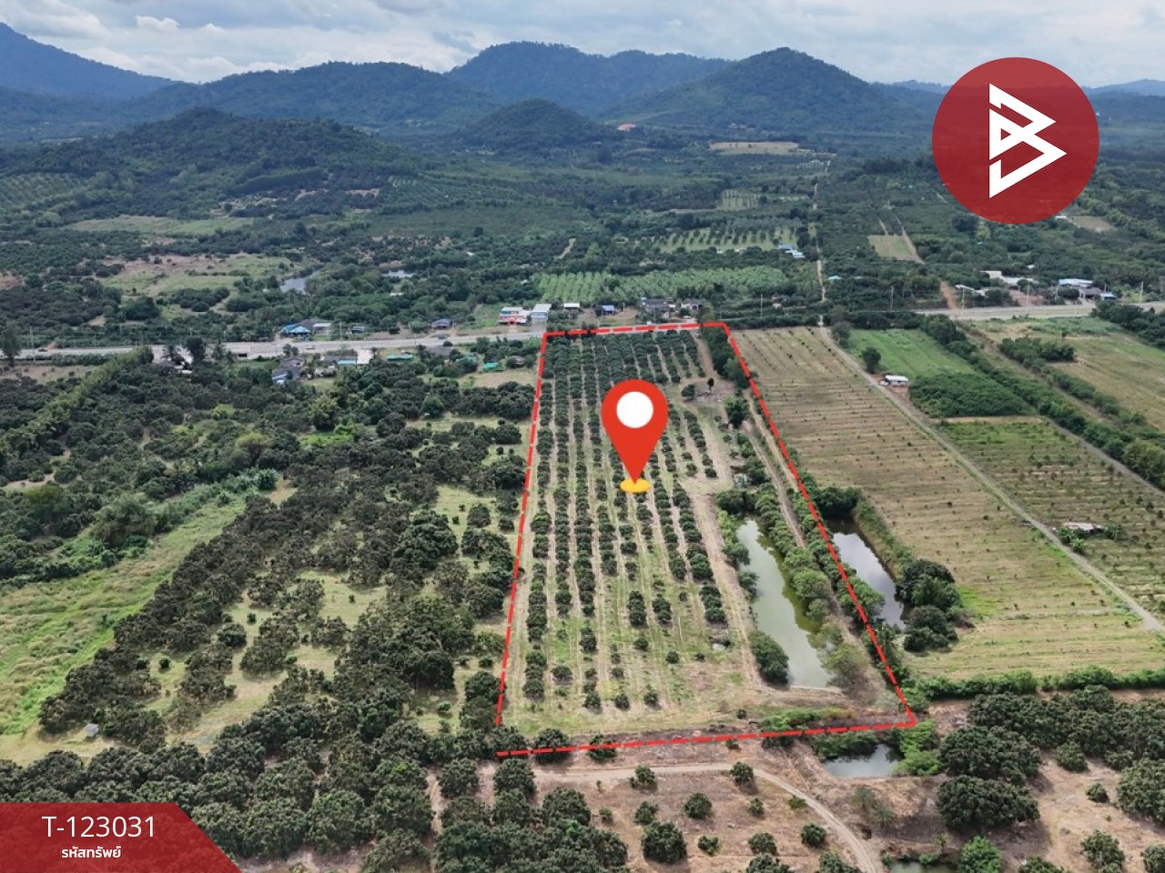 ขายที่ดิน เนื้อที่ 23 ไร่ 3 งาน 10 ตร.วา สอยดาว จันทบุรี 10