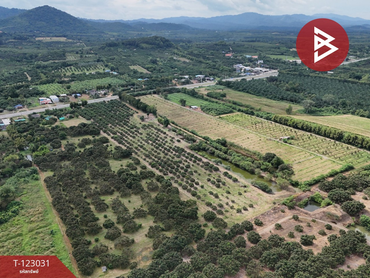 ขายที่ดิน เนื้อที่ 23 ไร่ 3 งาน 10 ตร.วา สอยดาว จันทบุรี 14