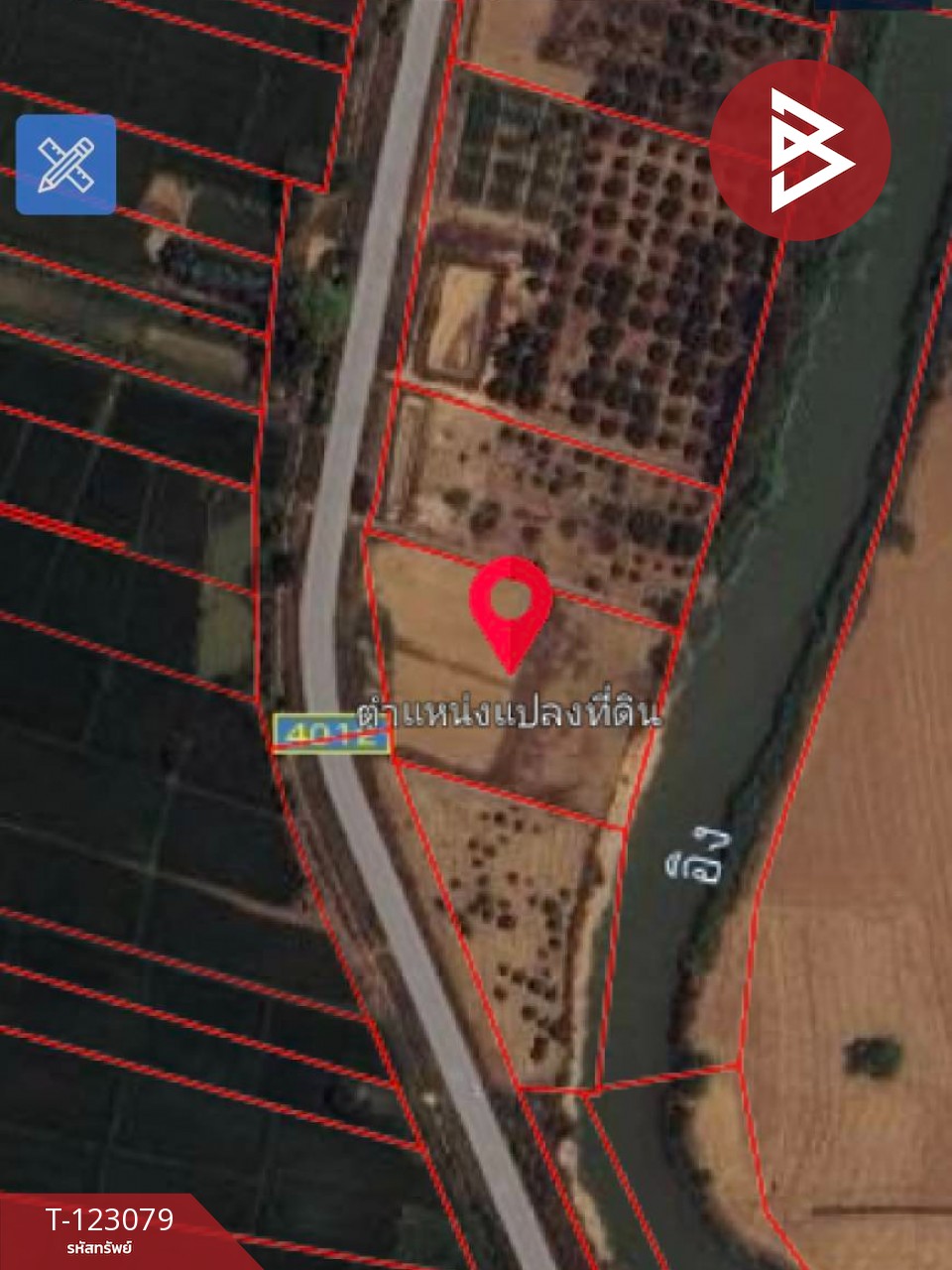 ขายที่ดิน เนื้อที่ 3 ไร่ 2 งาน 48 ตร.วา เทิง เชียงราย 9