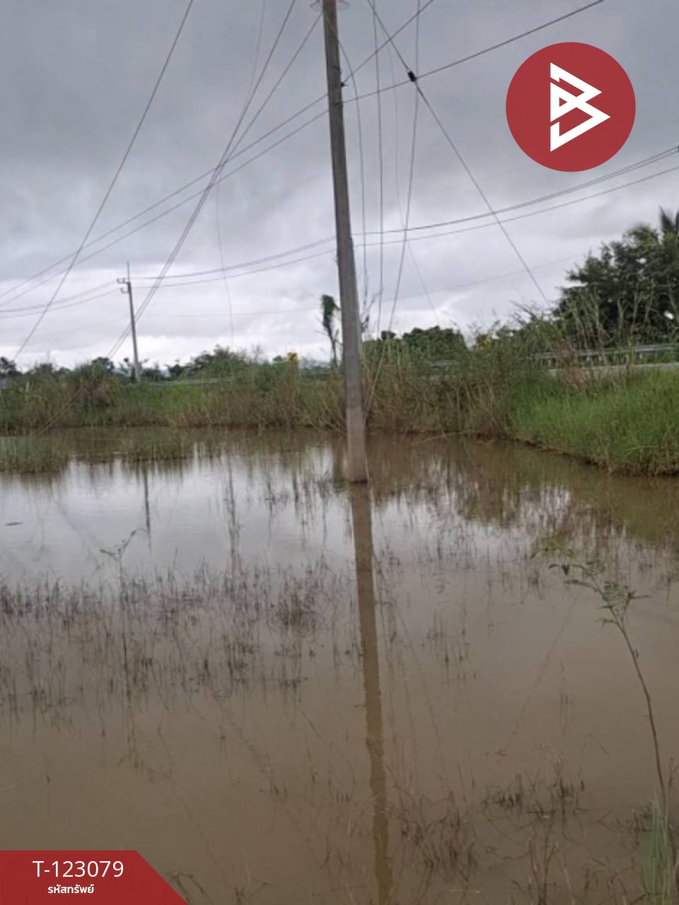 ขายที่ดิน เนื้อที่ 3 ไร่ 2 งาน 48 ตร.วา เทิง เชียงราย 6